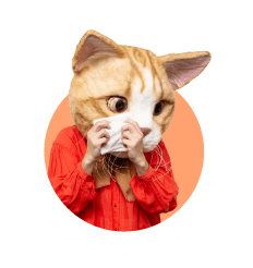 モモさん