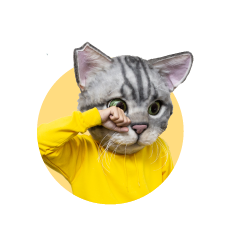 ノラくん