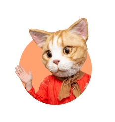 モモさん