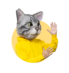 ノラくん
