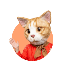 モモさん