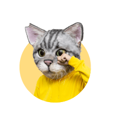 ノラくん