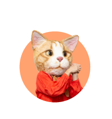 モモさん