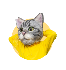 ノラくん