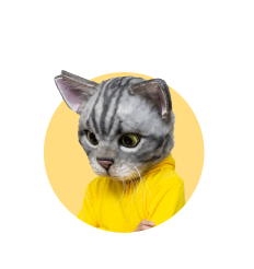 ノラくん