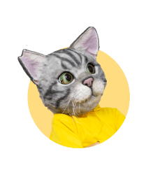ノラくん