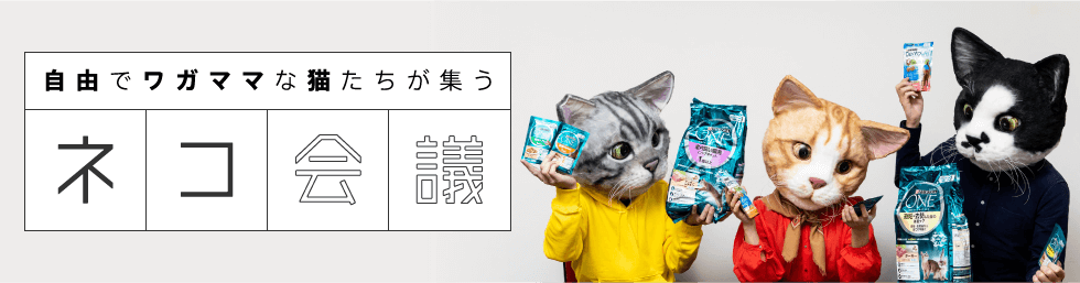 自由でワガママな猫たちが集う　ネコ会議