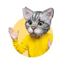 ノラくん