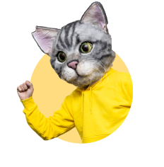 ノラくん