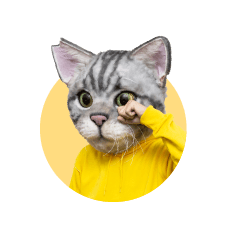 ノラくん