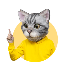 ノラくん