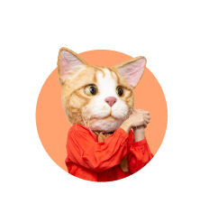 モモさん