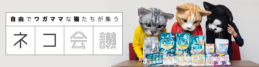 自由でワガママな猫たちが集う　ネコ会議