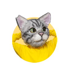 ノラくん