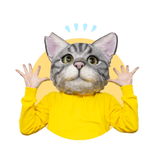 ノラくん