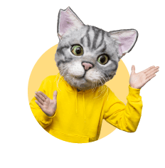 ノラくん