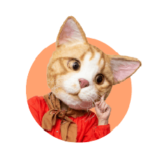 モモさん