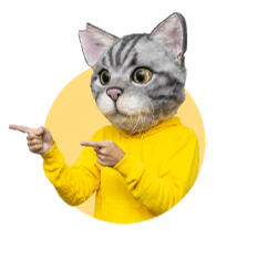 ノラくん