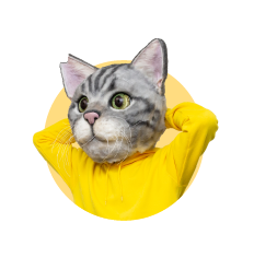ノラくん