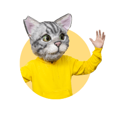 ノラくん