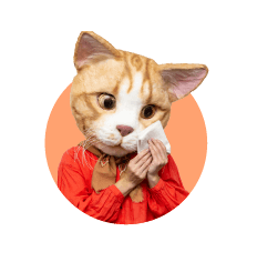 モモさん