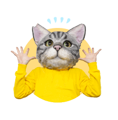ノラくん