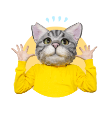 ノラくん