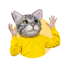 ノラくん