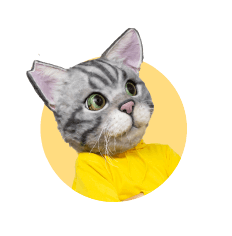 ノラくん