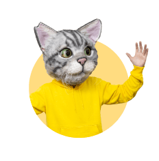 ノラくん