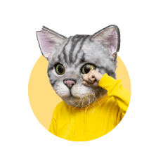 ノラくん