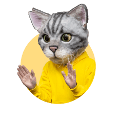 ノラくん