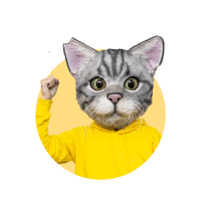 ノラくん