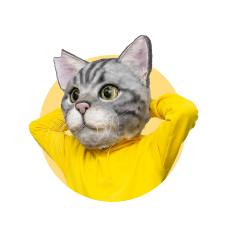 ノラくん