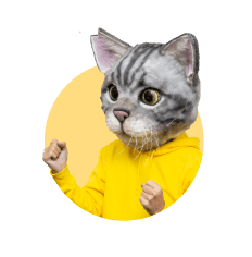 ノラくん