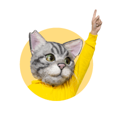 ノラくん