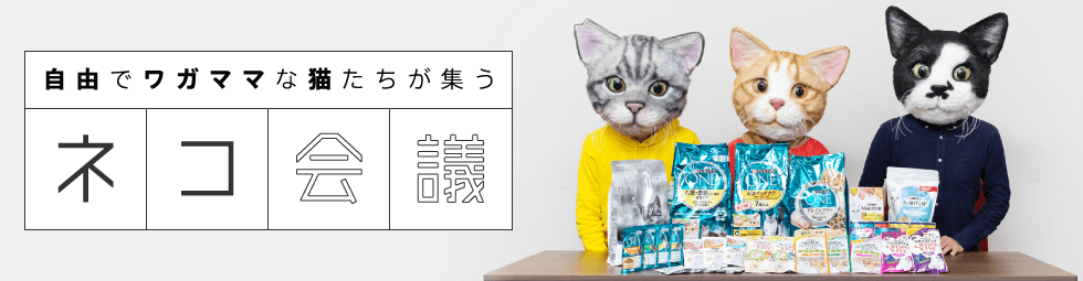 自由でワガママな猫たちが集う　ネコ会議
